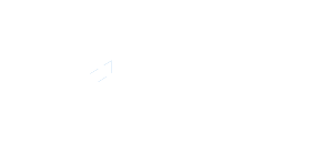 <p>SES Risk Solutions</p>